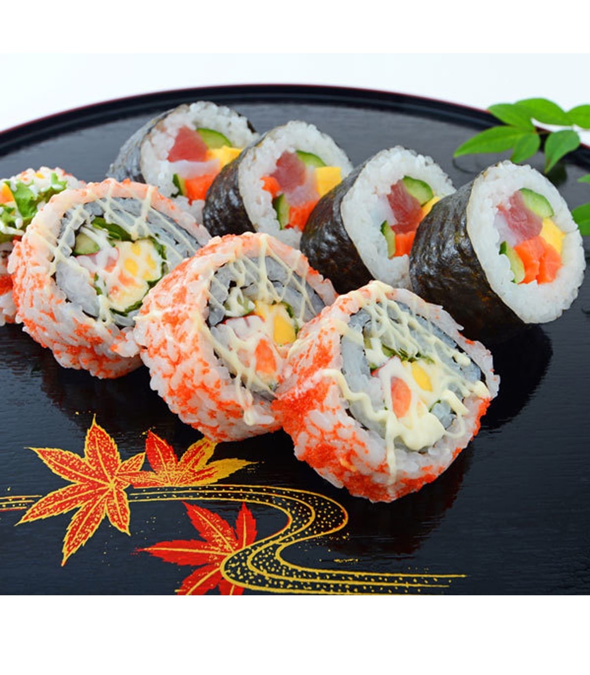 Alghe Nori per Sushi - OBENTO - 10fogli