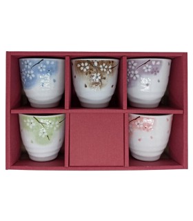 Set 5 tazze da te giapponese in ceramica con dipinto tradizionale giapponese a mano