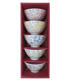 Set 5 ciotole di riso in ceramica dipinto a mano con fiori tradizionali giapponesi